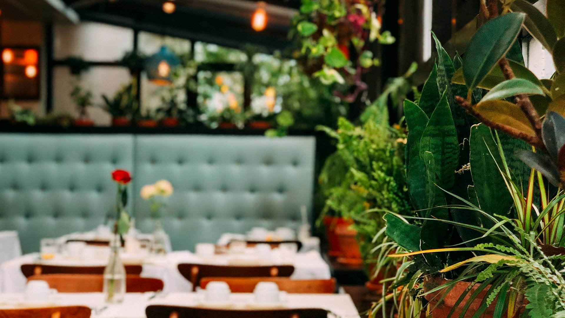 Revenue Intelligence Dashboard